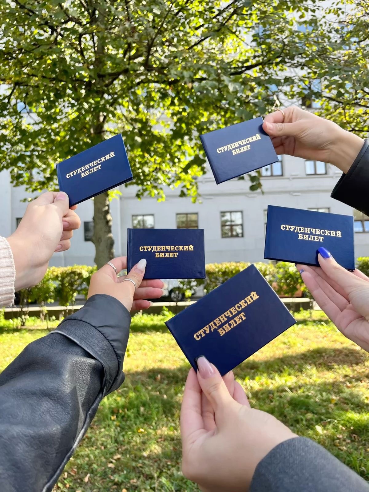 Игра «Студенческая жизнь»